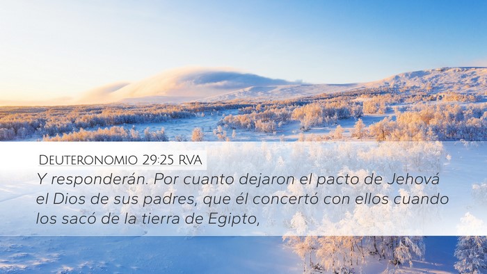 Deuteronomio 29:25 RVA Bible Verse Image