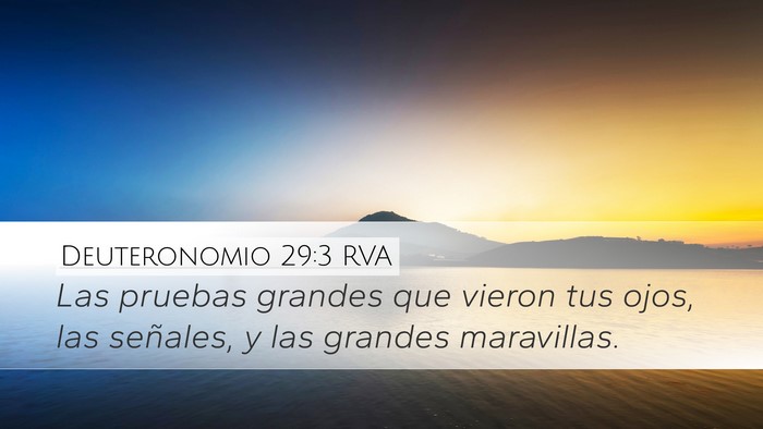 Deuteronomio 29:3 RVA Bible Verse Image
