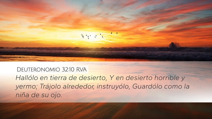 Deuteronomio 32:10 RVA Bible Verse Image