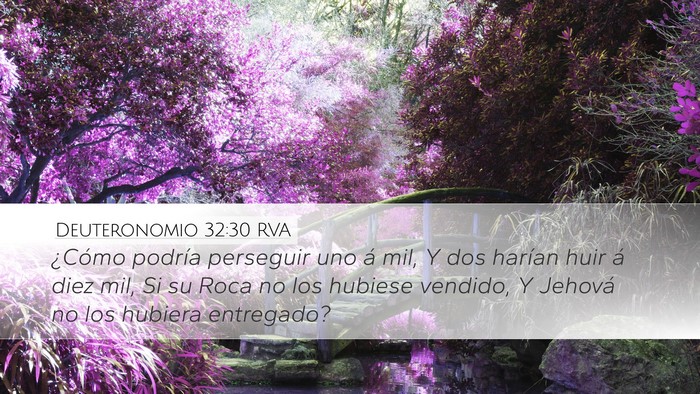 Deuteronomio 32:30 RVA Bible Verse Image