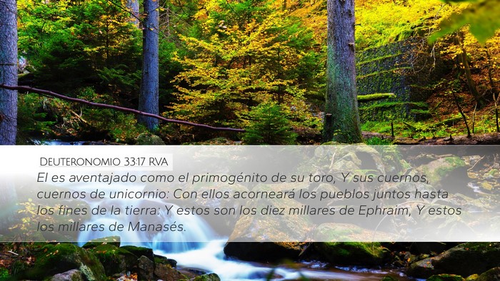 Deuteronomio 33:17 RVA Bible Verse Image