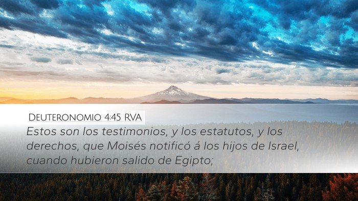 Deuteronomio 4:45 RVA Bible Verse Image