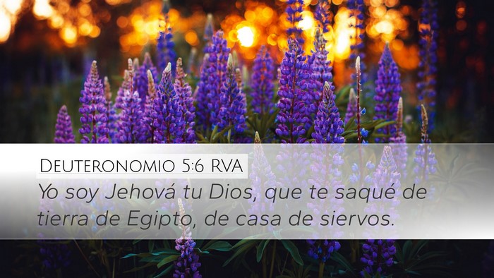 Deuteronomio 5:6 RVA Bible Verse Image