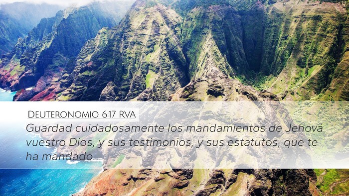 Deuteronomio 6:17 RVA Bible Verse Image