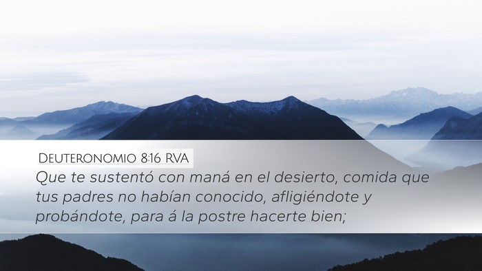Deuteronomio 8:16 RVA Bible Verse Image