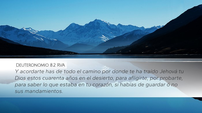 Deuteronomio 8:2 RVA Bible Verse Image