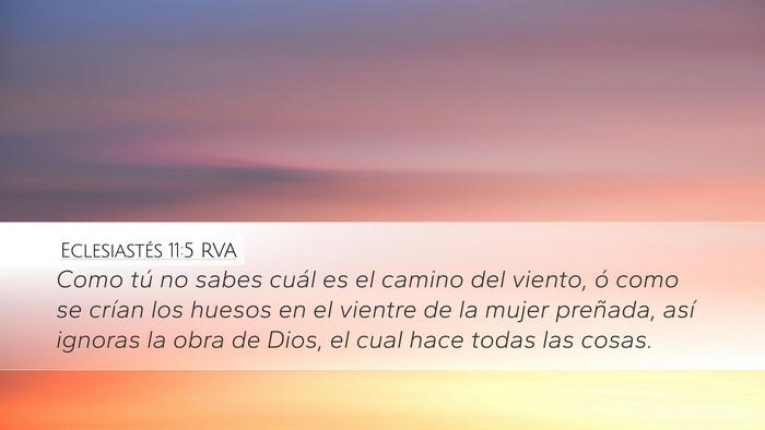 Eclesiastés 11:5 RVA Bible Verse Image