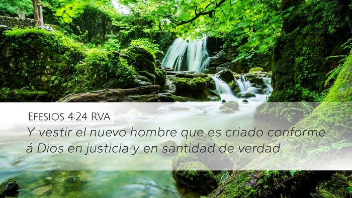 Efesios 4:24 RVA Bible Verse Image
