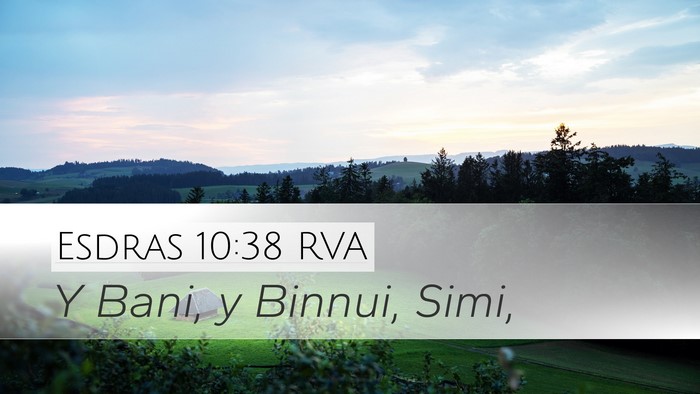 Esdras 10:38 RVA Desktop Wallpaper - Y Bani, y Binnui, - Desktop Bible Verse Wallpaper