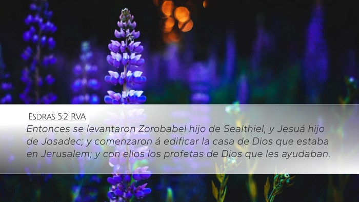 Esdras 5:2 RVA Bible Verse Image