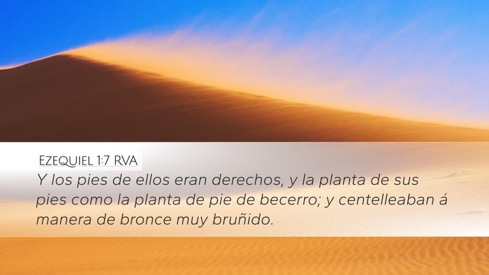 Ezequiel 1:7 RVA Bible Verse Image