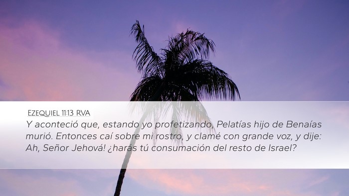 Ezequiel 11:13 RVA Bible Verse Image