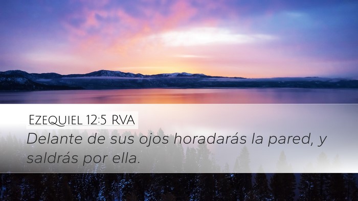Ezequiel 12:5 RVA Desktop Wallpaper - Delante de sus ojos horadarás la pared, y - Desktop Bible Verse Wallpaper
