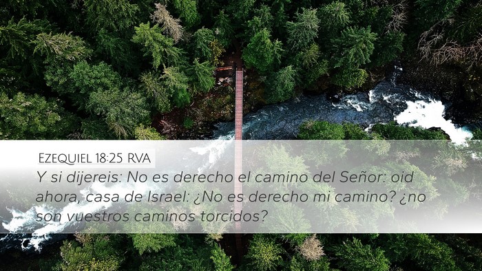 Ezequiel 18:25 RVA Bible Verse Image