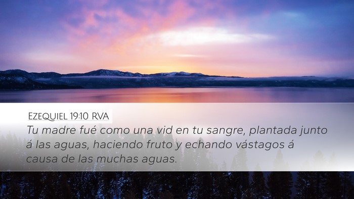 Ezequiel 19:10 RVA Bible Verse Image