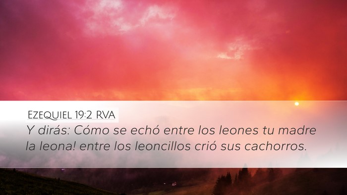 Ezequiel 19:2 RVA Desktop Wallpaper - Y dirás: ­Cómo se echó entre los leones tu - Desktop Bible Verse Wallpaper