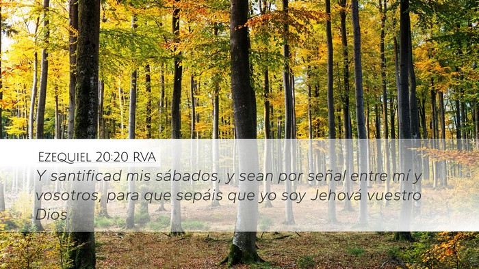 Ezequiel 20:20 RVA Bible Verse Image