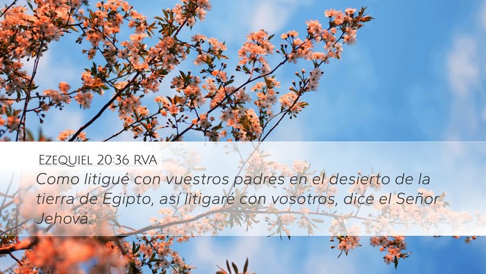 Ezequiel 20:36 RVA Bible Verse Image
