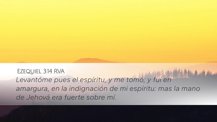 Ezequiel 3:14 RVA Bible Verse Image