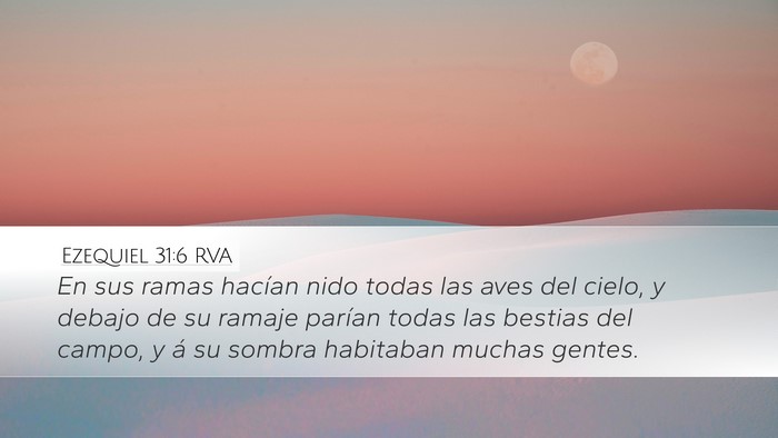 Ezequiel 31:6 RVA Bible Verse Image