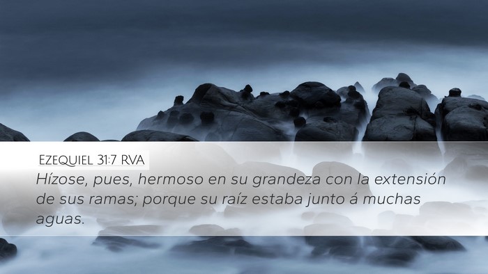 Ezequiel 31:7 RVA Desktop Wallpaper - Hízose, pues, hermoso en su grandeza con la - Desktop Bible Verse Wallpaper