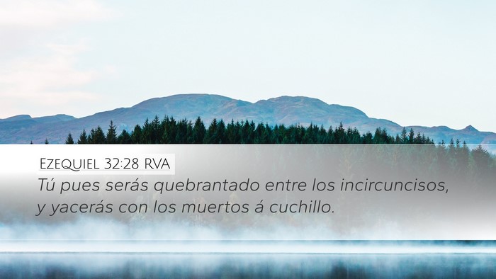 Ezequiel 32:28 RVA Desktop Wallpaper - Tú pues serás quebrantado entre los - Desktop Bible Verse Wallpaper