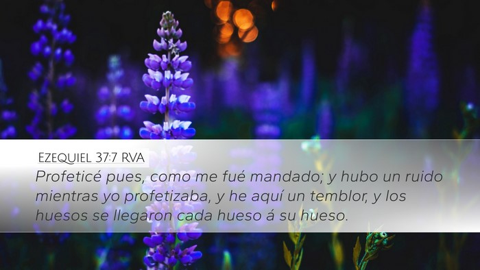 Ezequiel 37:7 RVA Bible Verse Image