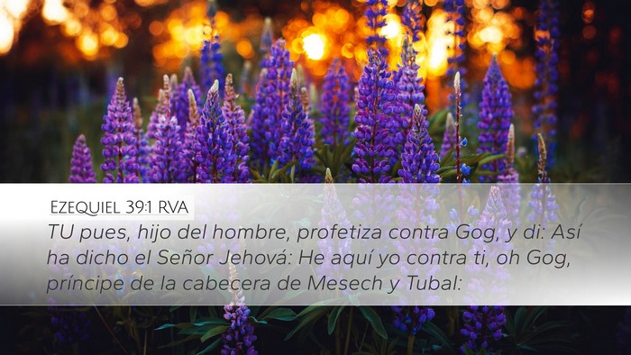 Ezequiel 39:1 RVA Desktop Wallpaper - TU pues, hijo del hombre, profetiza contra Gog, y - Desktop Bible Verse Wallpaper
