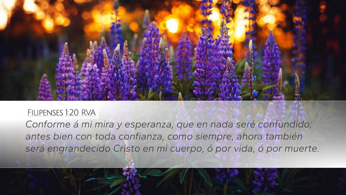 Filipenses 1:20 RVA Bible Verse Image