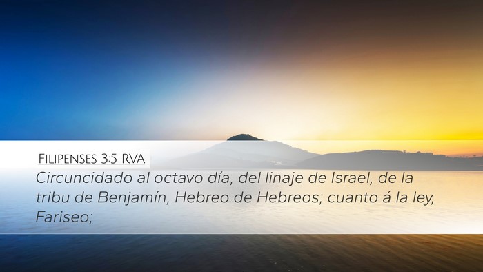 Filipenses 3:5 RVA Bible Verse Image