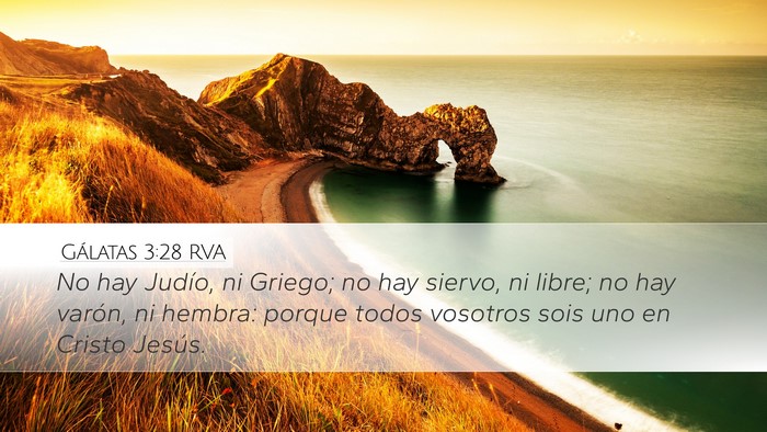 Gálatas 3:28 RVA Bible Verse Image