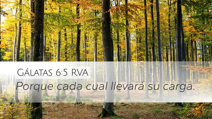 Gálatas 6:5 RVA Bible Verse Image