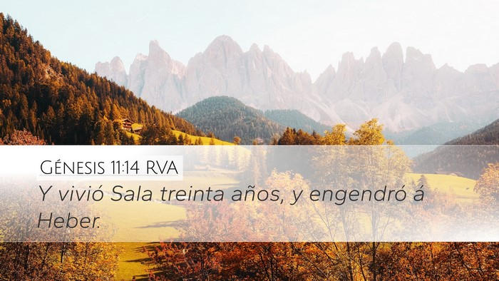 Génesis 11:14 RVA Desktop Wallpaper - Y vivió Sala treinta años, y engendró á - Desktop Bible Verse Wallpaper