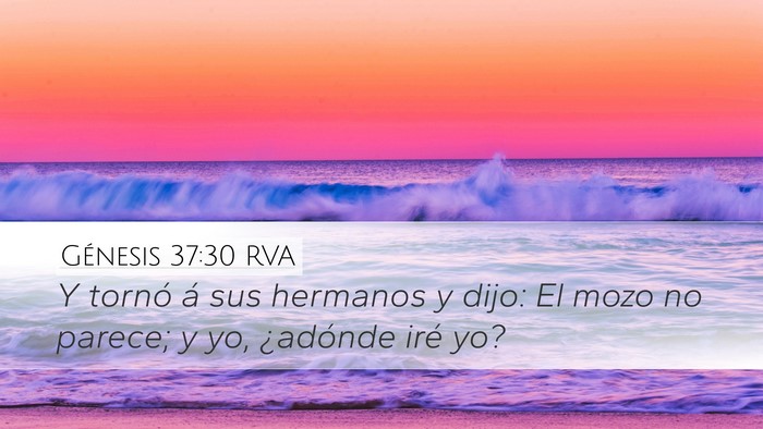 Génesis 37:30 RVA Bible Verse Image
