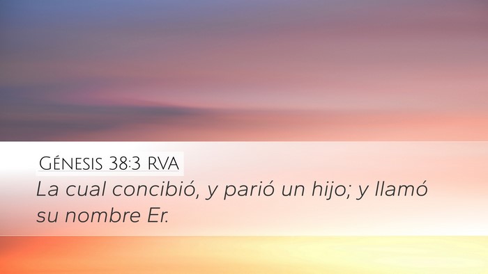 Génesis 38:3 RVA Desktop Wallpaper - La cual concibió, y parió un hijo; y llamó su - Desktop Bible Verse Wallpaper