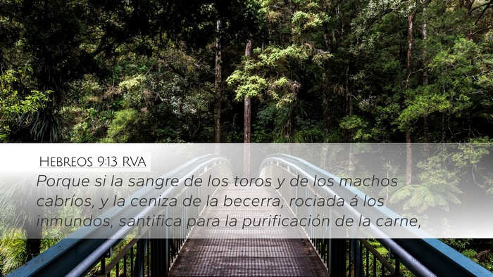 Hebreos 9:13 RVA Bible Verse Image