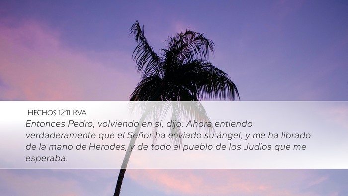 Hechos 12:11 RVA Bible Verse Image
