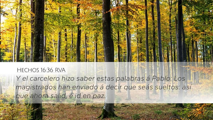 Hechos 16:36 RVA Bible Verse Image