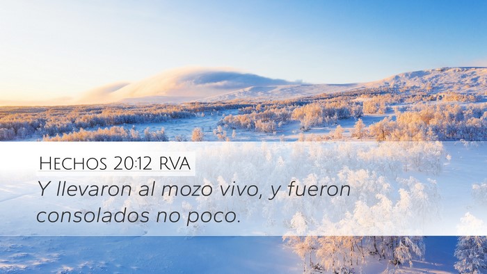 Hechos 20:12 RVA Desktop Wallpaper - Y llevaron al mozo vivo, y fueron consolados no - Desktop Bible Verse Wallpaper