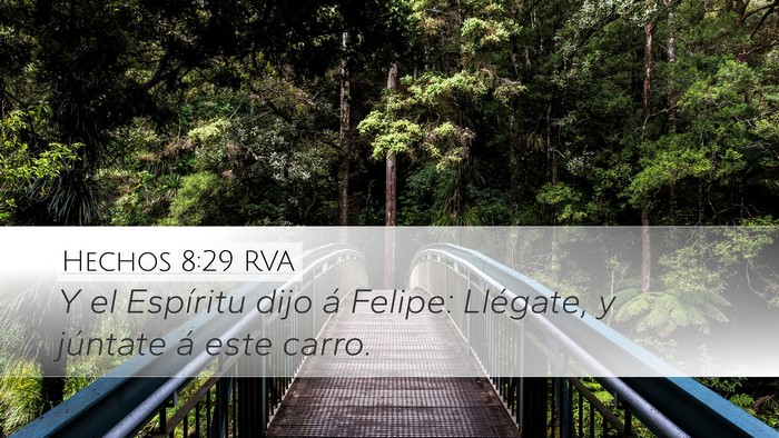 Hechos 8:29 RVA Bible Verse Image