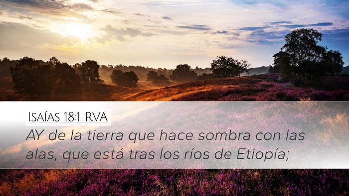Isaías 18:1 RVA Bible Verse Image