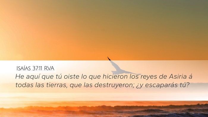 Isaías 37:11 RVA Bible Verse Image