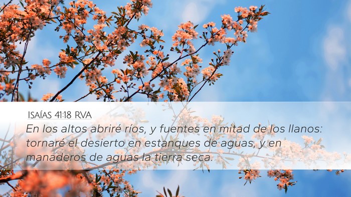 Isaías 41:18 RVA Bible Verse Image