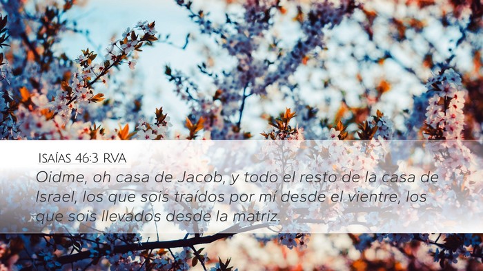 Isaías 46:3 RVA Bible Verse Image