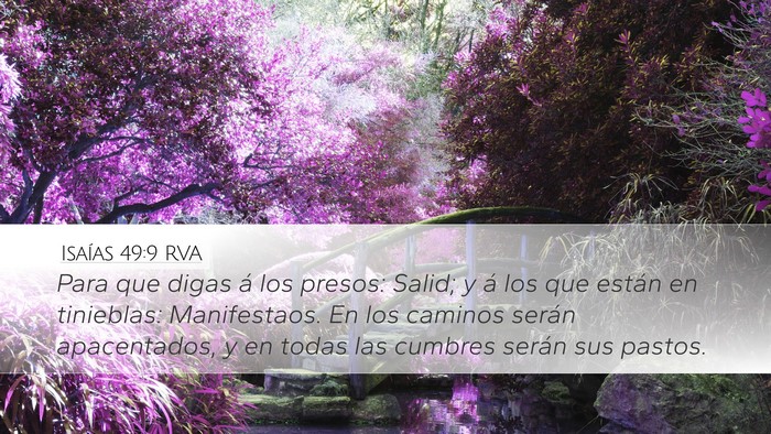 Isaías 49:9 RVA Bible Verse Image