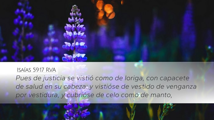 Isaías 59:17 RVA Bible Verse Image