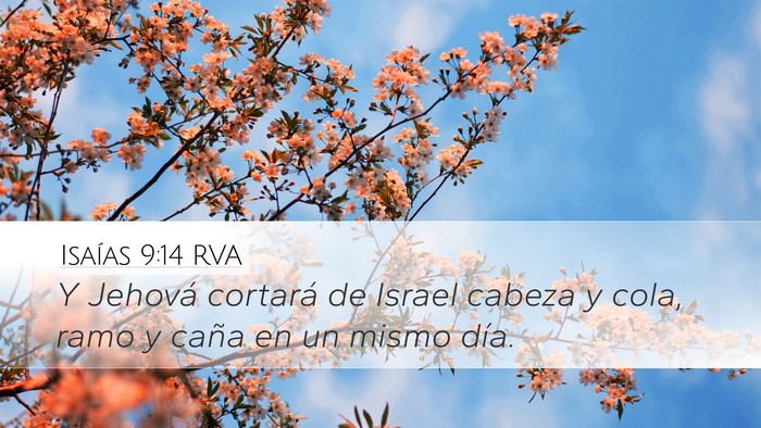 Isaías 9:14 RVA Bible Verse Image