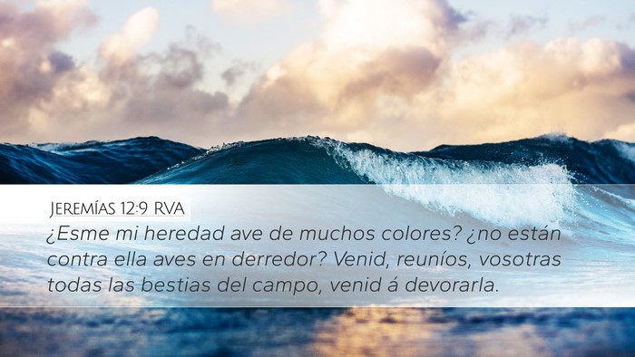 Jeremías 12:9 RVA Bible Verse Image