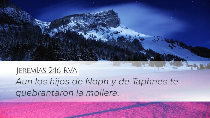 Jeremías 2:16 RVA Bible Verse Image