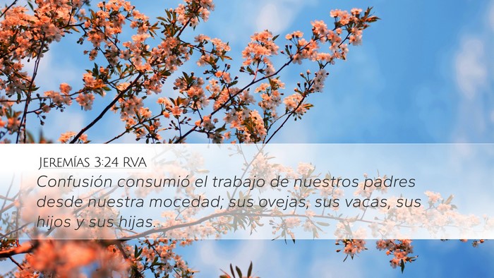 Jeremías 3:24 RVA Bible Verse Image